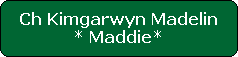 Ch Kimgarwyn Madelin




* Maddie*